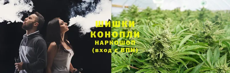 Бошки Шишки THC 21%  Саки 